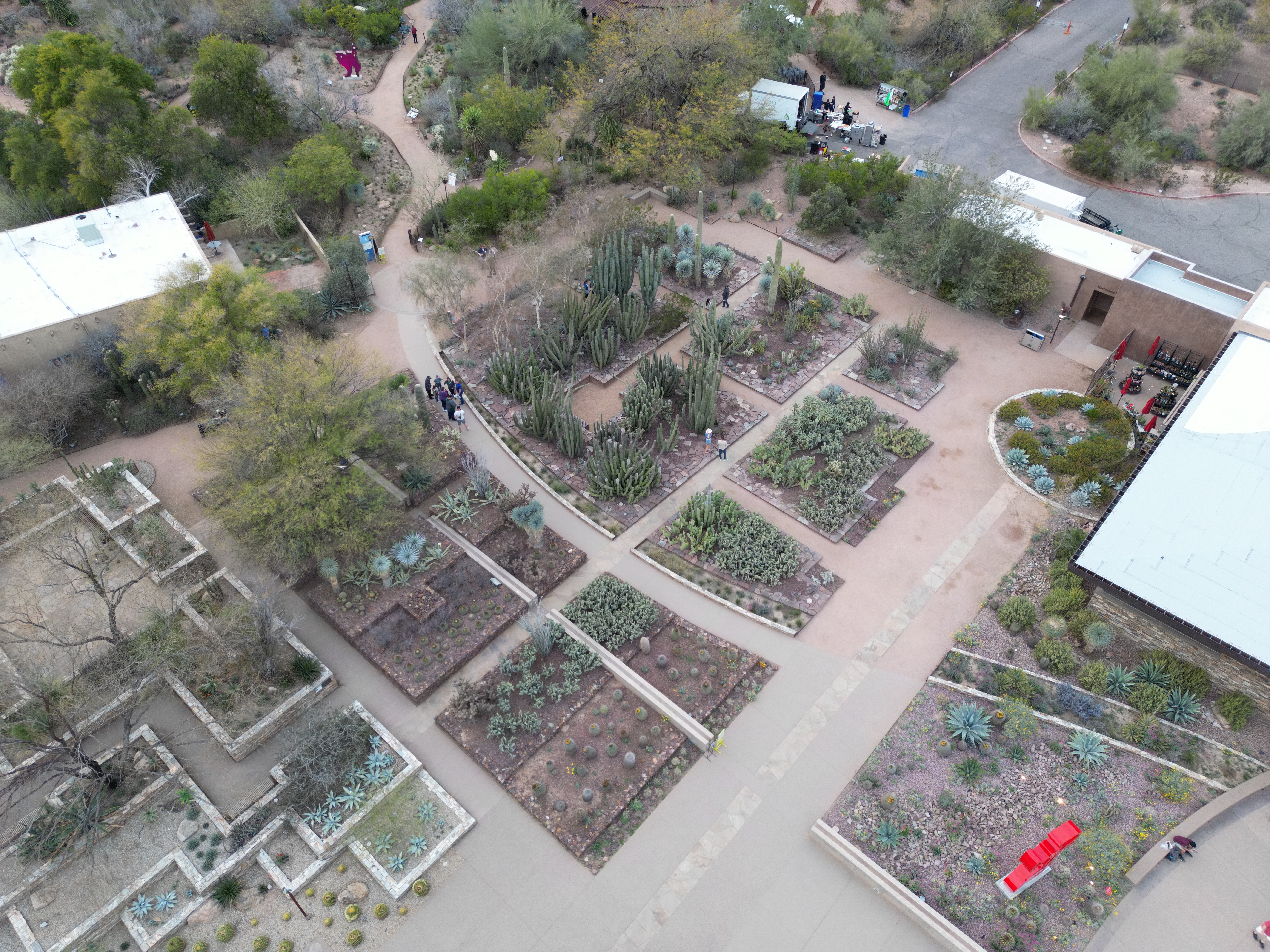 Aerial view of botanical garden grounds in Phoenix, Arizona
